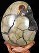 Septarian Dragon Egg Geode - Black Crystals #57488-2